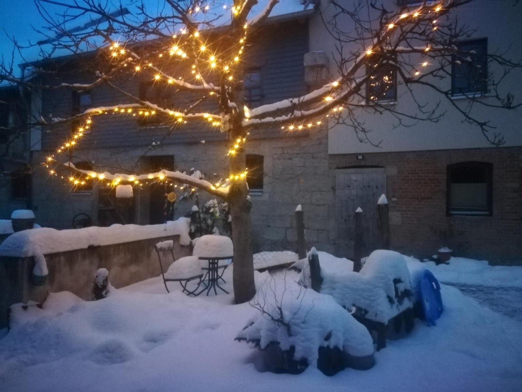 Ferienhof"Waldesel Rippersroda" Dış mekan fotoğraf