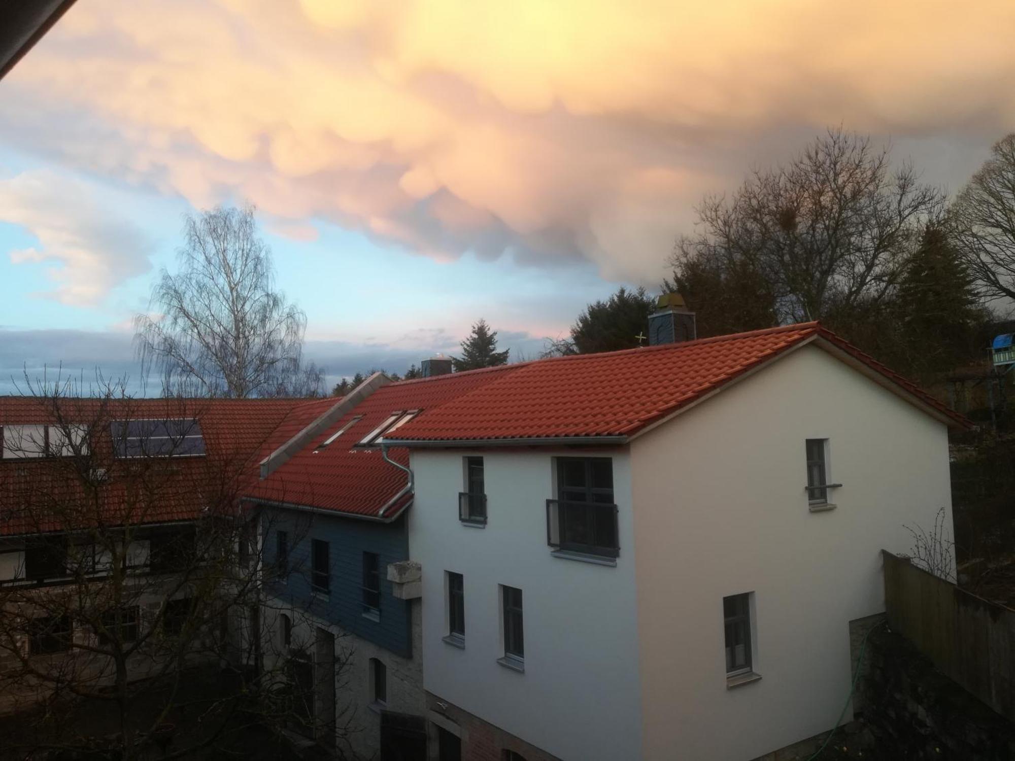 Ferienhof"Waldesel Rippersroda" Dış mekan fotoğraf
