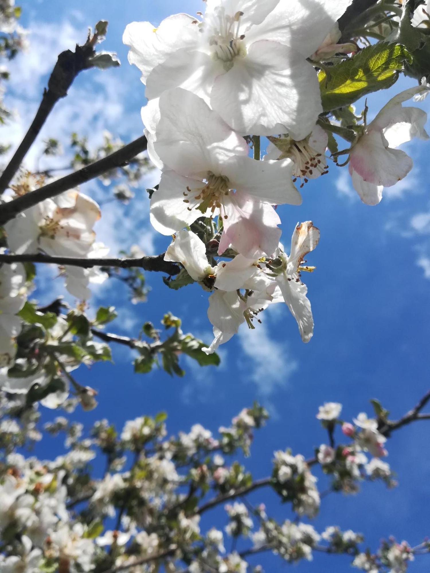 Ferienhof"Waldesel Rippersroda" Dış mekan fotoğraf