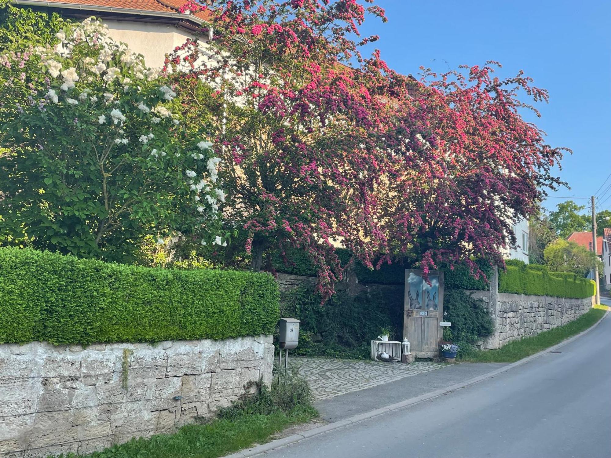 Ferienhof"Waldesel Rippersroda" Dış mekan fotoğraf
