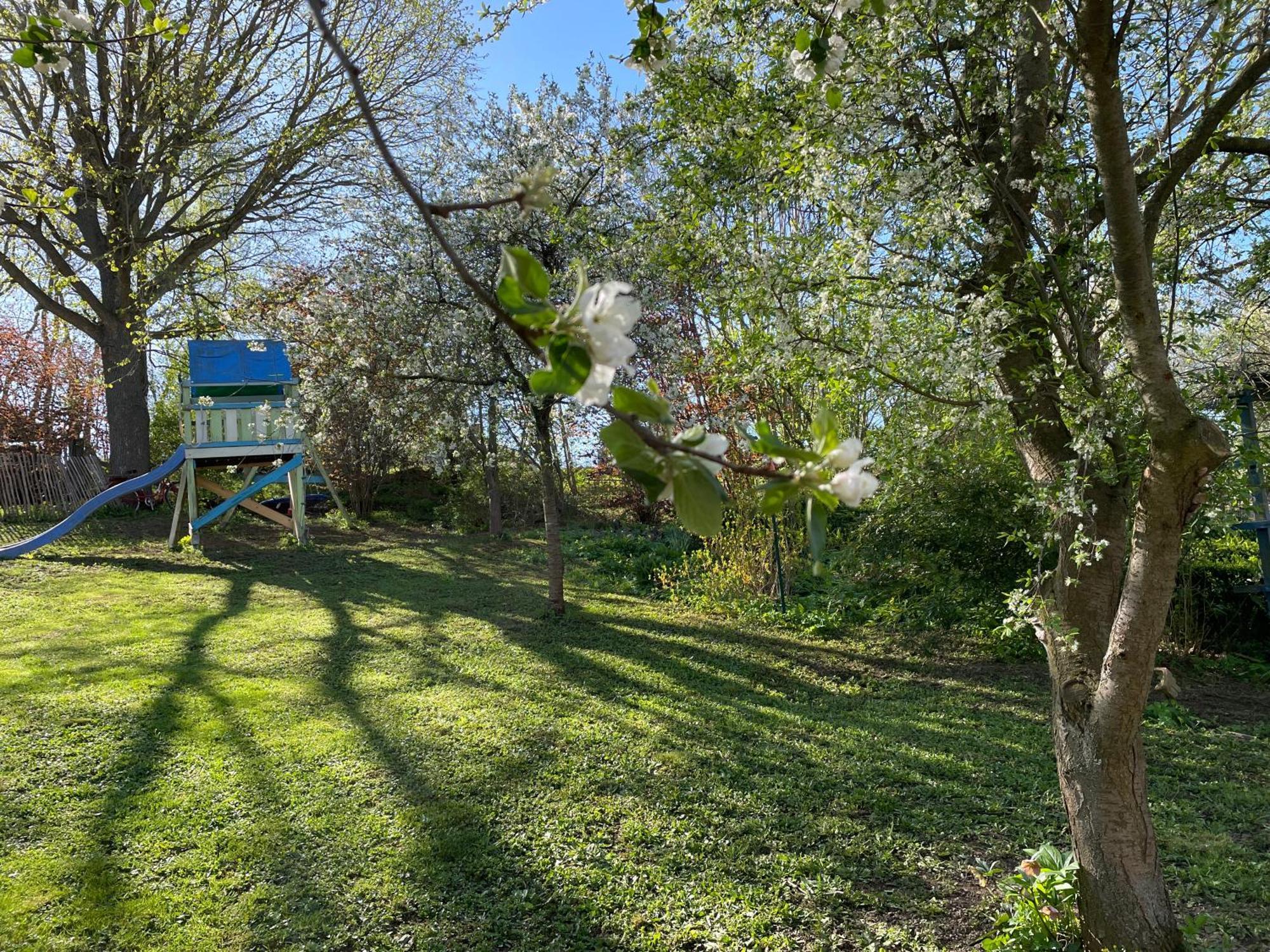 Ferienhof"Waldesel Rippersroda" Dış mekan fotoğraf