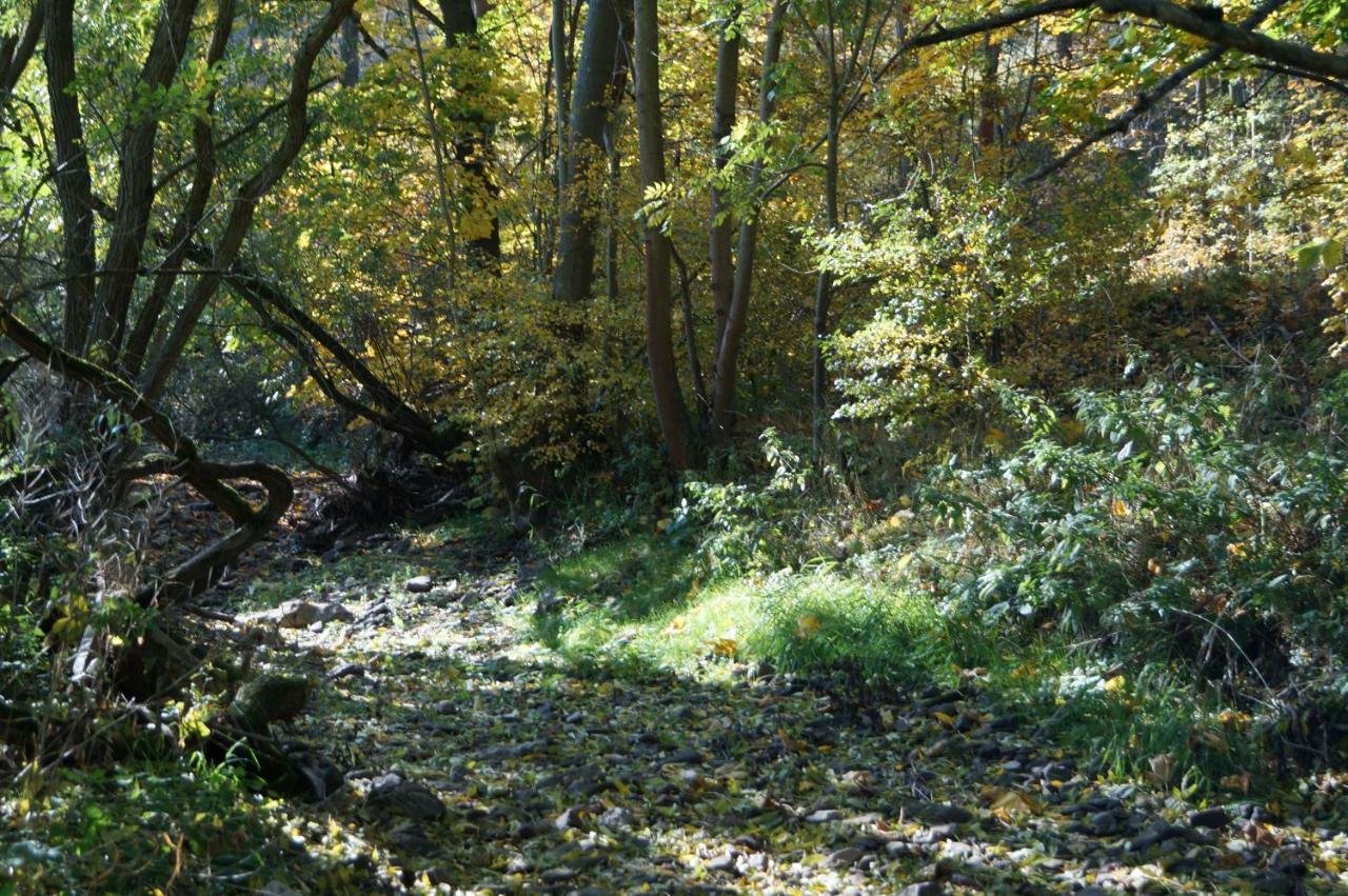 Ferienhof"Waldesel Rippersroda" Dış mekan fotoğraf