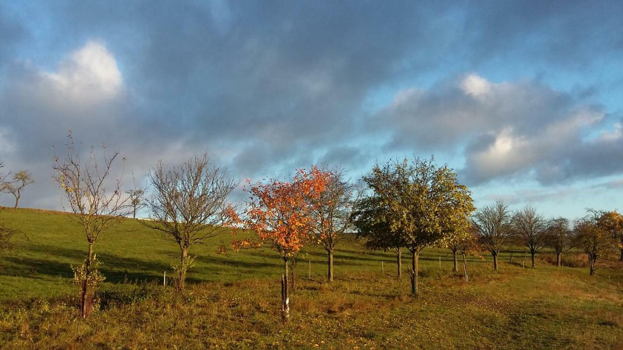 Ferienhof"Waldesel Rippersroda" Dış mekan fotoğraf